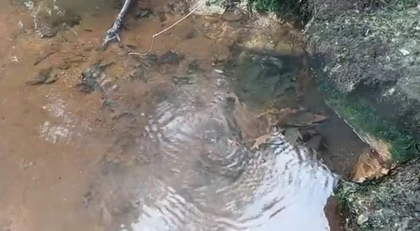 Kaz Dağları’nda Sağlık Odaklı Turizm Atağı