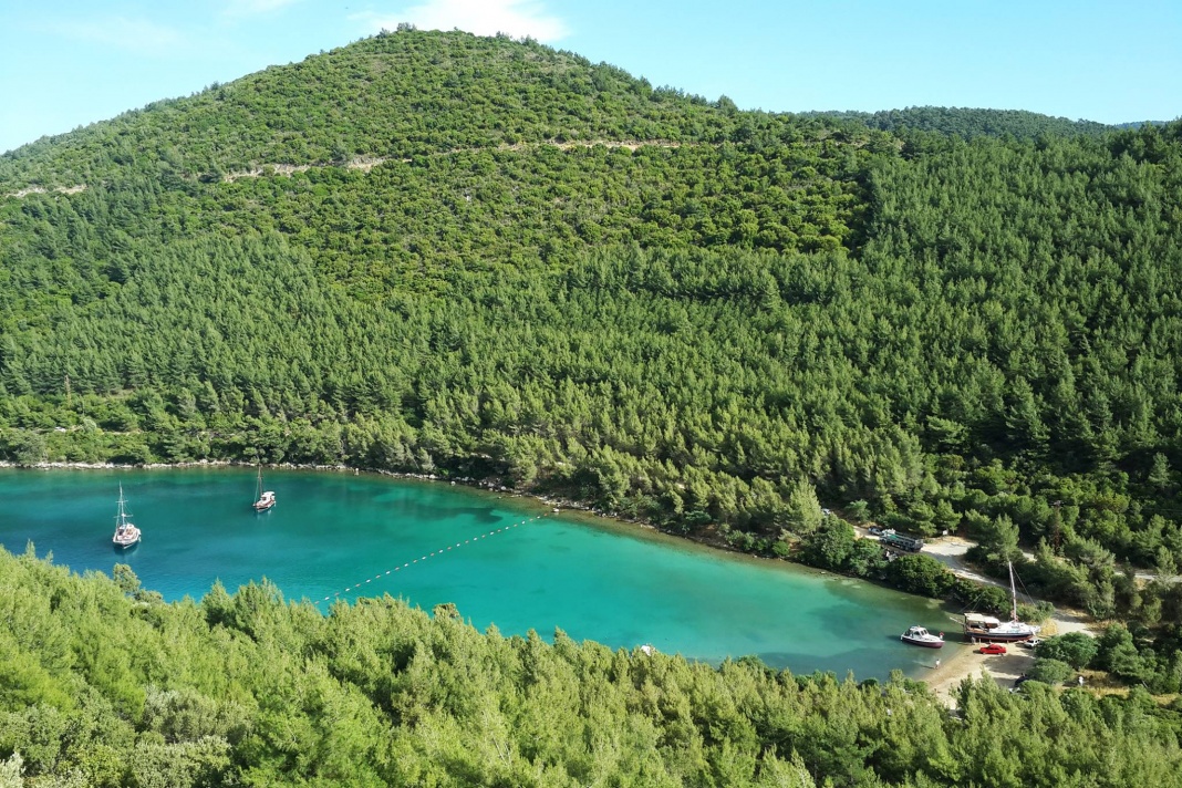 Bodrum’da 76 bin metrekare orman turizm alanına çevrildi