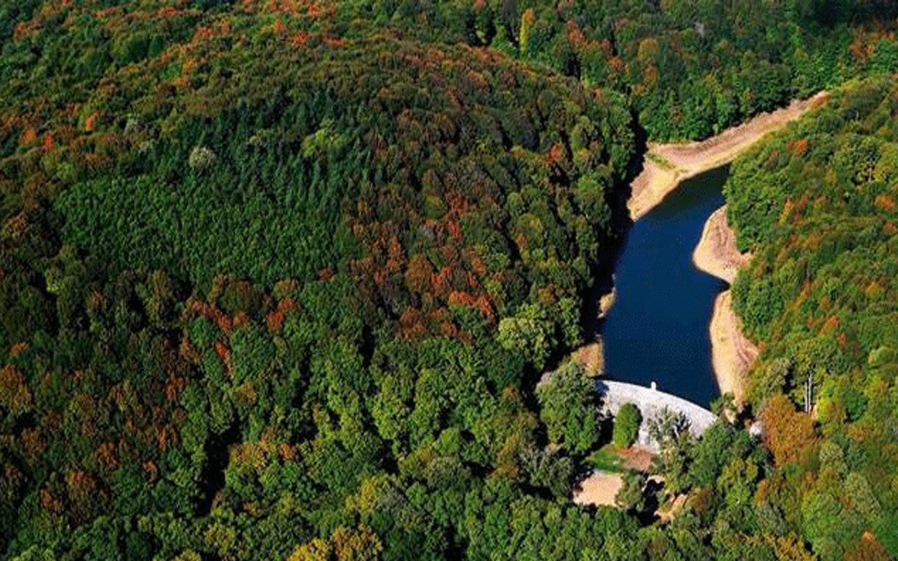 Belgrad Ormanı imara açılıyor