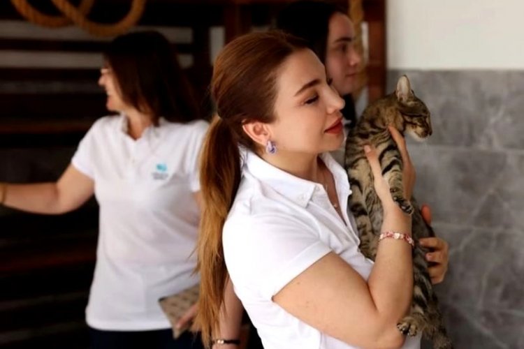 CRYSTAL HOTELS’TEN CAN DOSTLARIMIZA BÜYÜK DESTEK: 'BİR KAP MAMA, BİR CANA UMUT'