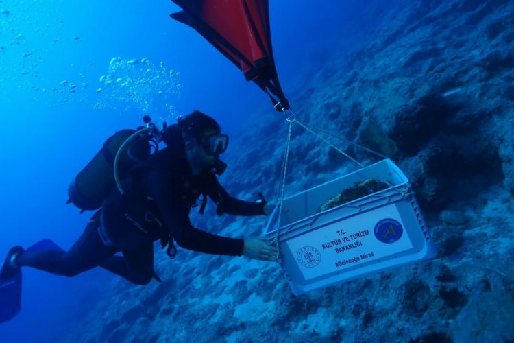 DÜNYANIN EN ESKİ BATIĞI KEKOVA’DA BULUNDU