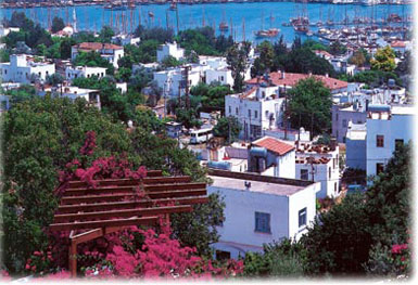 12 ABD’li gazeteci Bodrum’u gezdi..