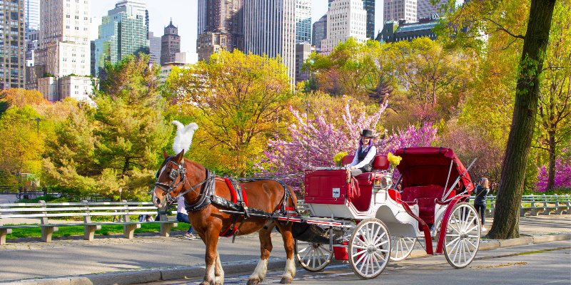 New York’ta Central Park’ta Atlı Fayton Dönemi Sona Eriyor
