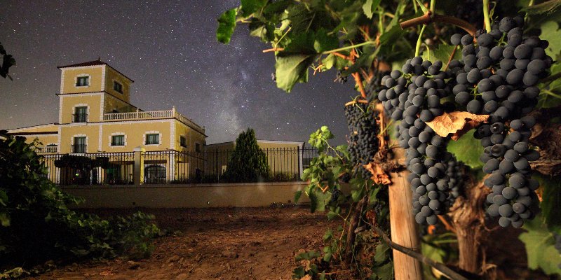 İspanya'da Şarap Turizmine 125 Bin Avroya Kadar Konaklama Desteği