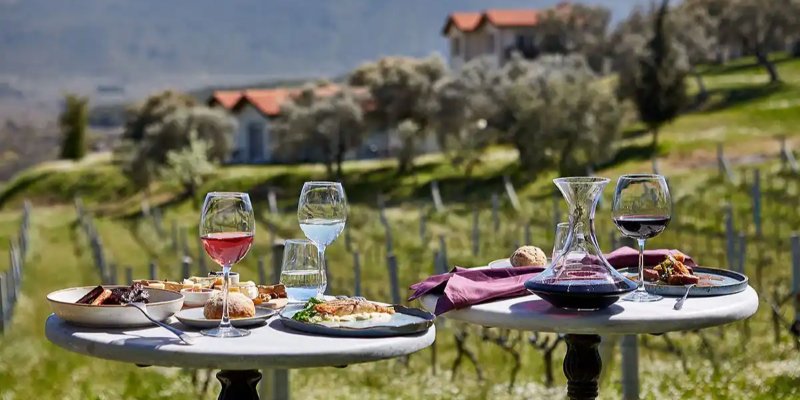 Şaraphaneler Şarap Turizminden Nasıl Daha Fazla Gelir Elde Edebilir?