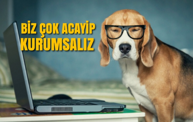 12 yıllık otel 11 müdür değiştirdi: Biz çok acayip kurumsalız