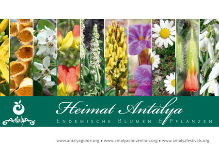 ATAV, Antalya’yı dünyaya Endemik Çiçeklerle tanıtacak