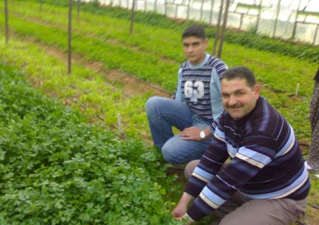Antalya'da doğaya yolculuk: Kırcami