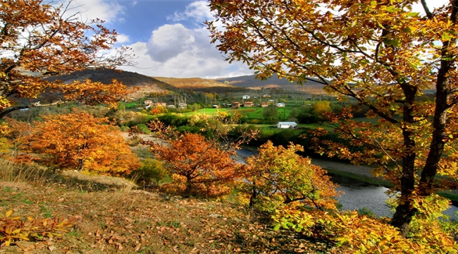 1650 rakımlı Akkuş Argan Yaylası turizme açılıyor 