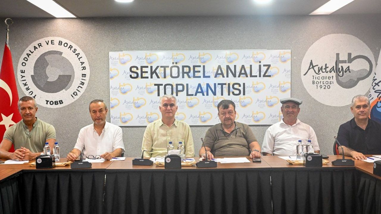 Antalya’da zeytinde bereketli yıl beklentisi: Rekolte yüzde 40 artacak