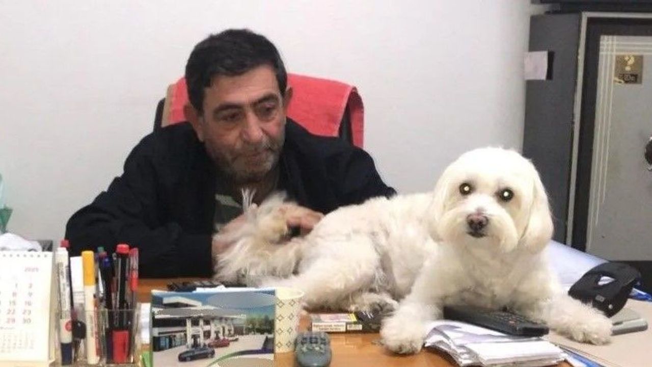 Akaryakıt istasyonu sahibiydi: İş insanı ofisinde ölü bulundu