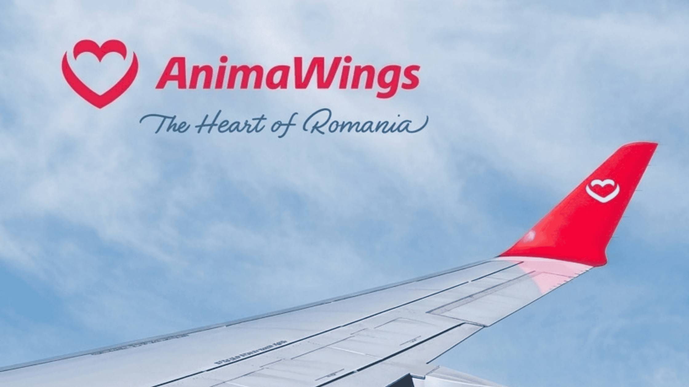 ROMANYALI HAVAYOLU ANIMAWINGS İFLAS KORUMASINDA