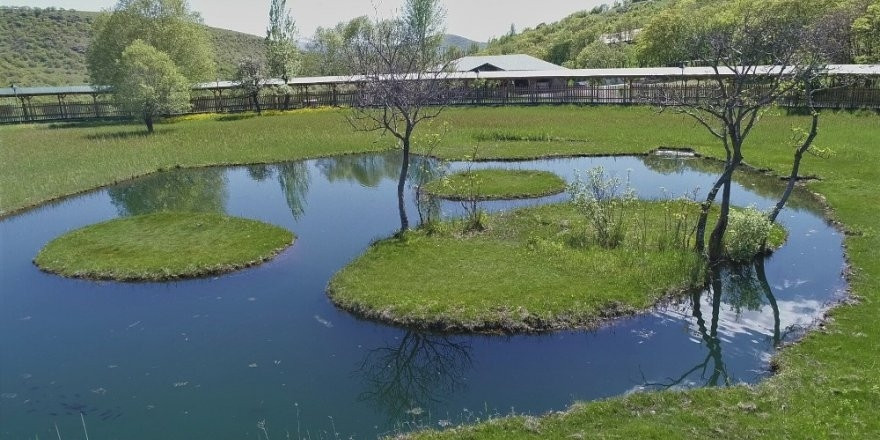 Yüzen adalar, bu yıl 30 bin ziyaretçi ağırlayacak