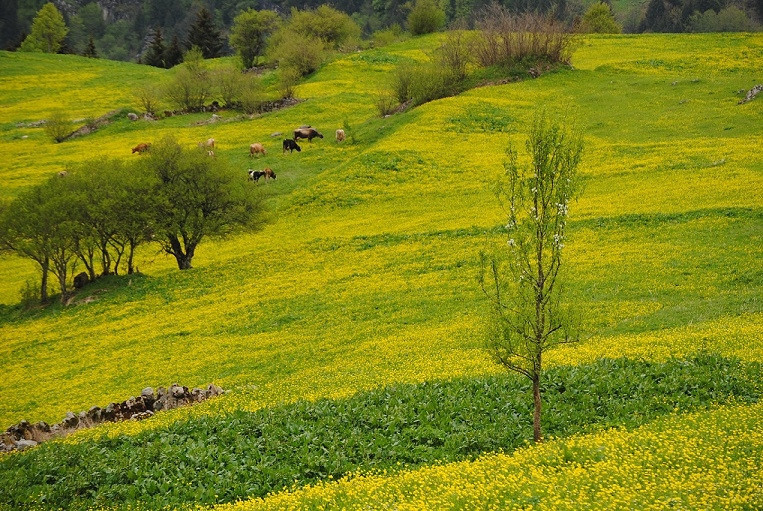 Zilkale’den Çat Vadisi’ne bahar yolculuğu