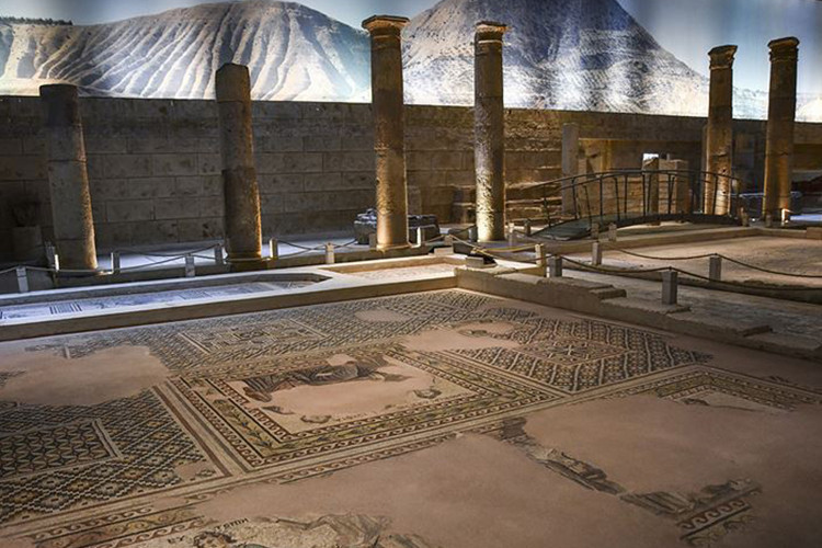 Zeugma Mozaik Müzesi Nerede? Zeugma Mozaik Müzesi Tarihçesi, Eserleri, Giriş Ücreti Ve Ziyaret Saatleri (2023)
