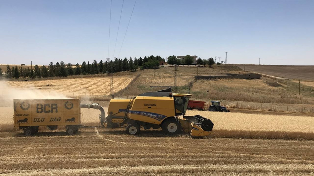 Trakya'da buğday hasadı sona erdi